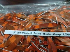 12 Ozark 3″ Left Wing Parabolic Feathers Dozen Fletchings, Vanes