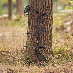 30-70lbs Compound Bow RH 310fps Archery Target Shooting Hunting Set Let-off 75%