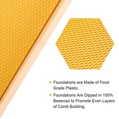 Deep Brood Beehive Frames with Wax Foundation,10 Pack Honey Bee Frames with 100%
