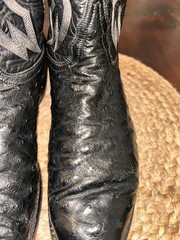 Tony Lama – El Rey Full Quill Ostrich Cowboys Boots (9.5D)