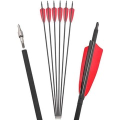 30″ Archery Carbon Arrows 4″ Feather SP500 Compound Recurve Bow Arrowhead Quiver