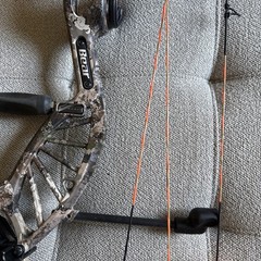 bear paradox compound bow