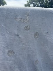 81” Bucas Buzz Off Full Neck Horse Fly Sheet – Used