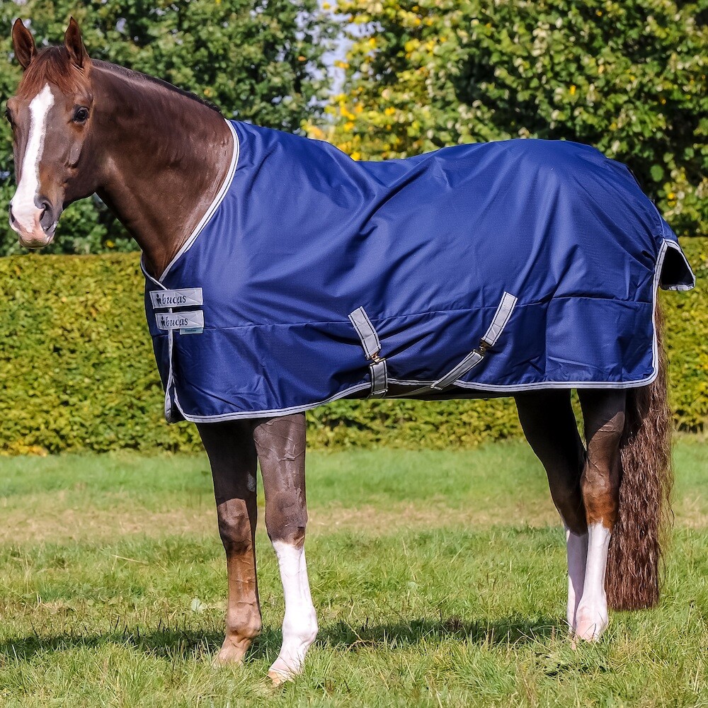 Bucas Freedom Turnout-Light-75″-Navy/Silver