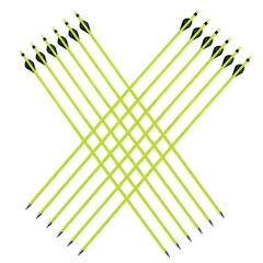 31″ Pure/Mixed Carbon Arrows 2″ Vane Spine 350-500 Compound Recurve Bow Hunting