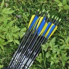 Mixed Carbon Arrow 30″ Archery Targeting Hunting Practice Arrows Power Shooting