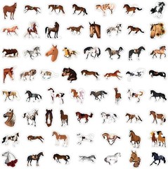 Horse Stickers for Kids Teens Adults, 60Pcs Cartoon Horse Riding Stickers for Wa