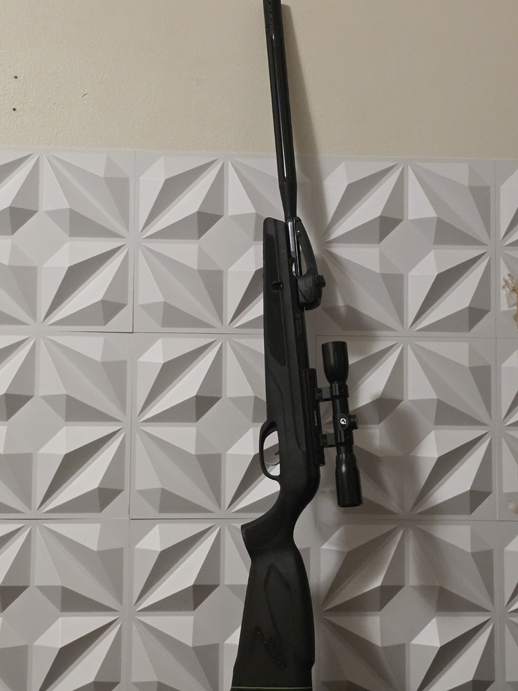 Gamo Swarm Whisper .22 Cal Pellet Break Barrel Rifle Air Gun