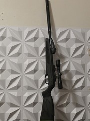 Gamo Swarm Whisper .22 Cal Pellet Break Barrel Rifle Air Gun