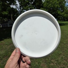 New Disc Mania D-Line P2 FLX2 176gm Putt & Approach PDGA APproved