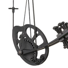Junior 10-30lbs Compound Bow Set Kids Beginner Archery Target Shoot Practice New