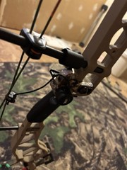 Bear Adapts Plus Thp Compoundbow 55-70 Ib, Right Handed With True Ball Release