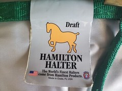 Hamilton 1” Nylon Halter Draft (x-Large) size Green NWT