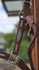 Vintage MacPherson Los Angeles Show Halter North & Judd Buckles Silver Overlay