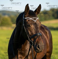 Luxury Wave Crystal Horse Browband Double Row Rhinestone Black Leather Bridle