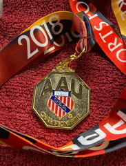 Amateur Athletic Union United States Medal Sport for All & Lanyard Gold Tone M06