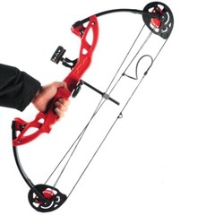 Compound Bow Set 15-29lbs Arrows Archery Hunting Equipment for Teens Kids 260fps