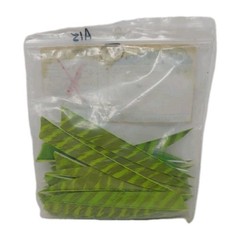 30 Count Gateway Feathers 5″ Left Wing: Shield Faux Barred Chartreuse Green