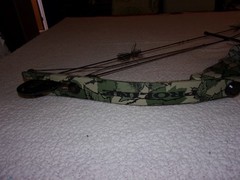 Proline Riptide Compound Bow