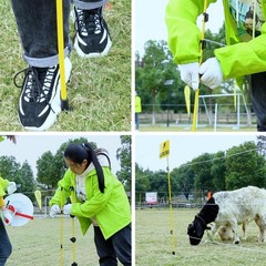45 inch Electric Fence Posts Step in Fiberglass Insulated Plastic Electric Fe…