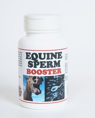 EQUINE SPERM BOOSTER – FERTILITY (120 Capsules – Made in USA)