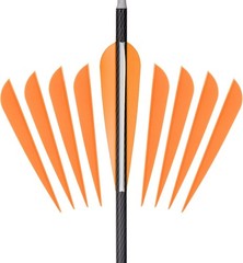 Arrows Vanes 4 Inch Plastic Feather Fletching for DIY Archery Arrows 50 Pack…