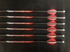 Black Eagle Executioner 20″ .003 Crossbow Bolts 2″ Vanes 1/2 Dozen BRAND NEW