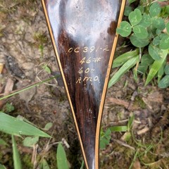 Used Vintage Browning Safari II Wood Recurve Archery Bow 46# @ 60″ AMO