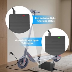 42V Charger for Phantomgogo A9 A8, Compatible with Phantom GO A9 Foldable 350…