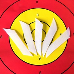 50X Arrow Fletches 3/8/9cm Turkey Feathers Archery Fletching DIY Left Wing