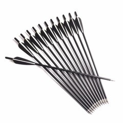 Archery 12-48pcs 20″ Crossbow Bolts Crossbow Arrow OD 8.8MM for Hunting Shooting