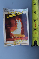 Sour Solution Skateboards Barcelona Spain Fire Punk Z75A Skateboarding STICKER