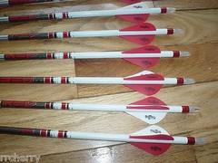 12 Carbon Express Maxima RED 350 Custom Arrows: Blazer Vanes, White Dip, & Crest