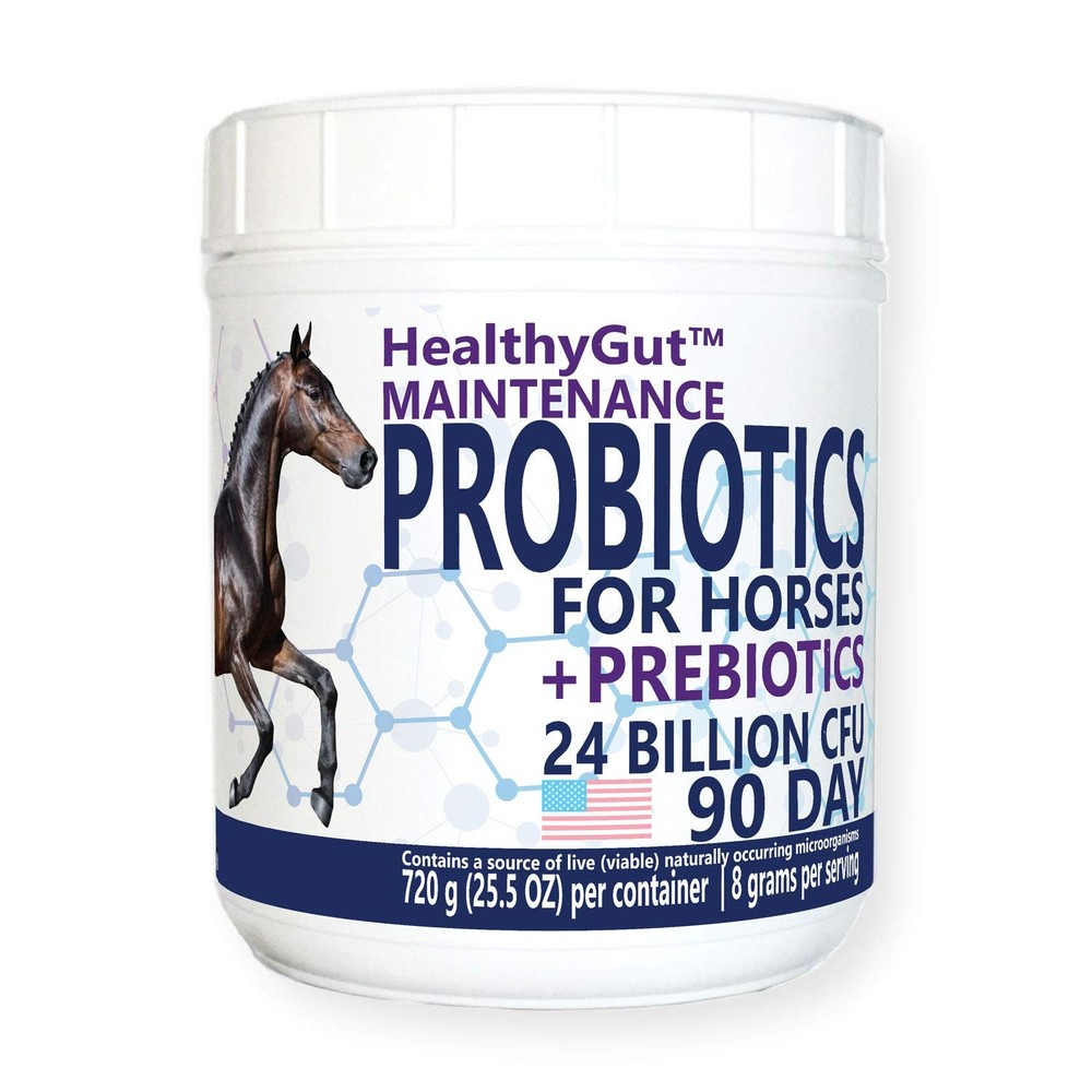 Equa Holistics HealthyGut™ Probiotics for Horses Dietary Supplement, All-Nat…