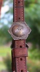 Vintage MacPherson Los Angeles Sterling Silver Show Halter & Matching Lead Shank