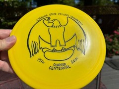 2001 DX Eagle 169G OOP Disc Golf Innova Virginia States (Bald Eagle) Rare #3832