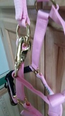 Weaver Pink Foam Rubber Padded Adjustable Chin & Throat Snap Nylon Halter Small