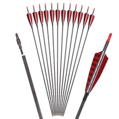 Elong 12PCS 30″ Arrows for Compound Bows,Pure Carbon Hunting Arrows for Arche…