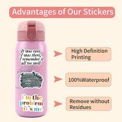 110Pcs Music Lyric Stickers for Fans Adult,Popular Singer Ablums Lyrics Stickers