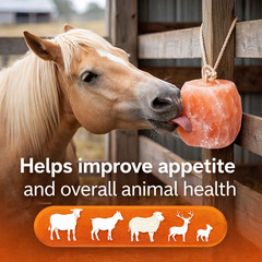 Himalayan Salt Lick Block with Rope 5-6 lb Multi Pack for Horses & Livestock