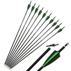 12Pcs 30 Inch Carbon Arrow Practice Hunting Arrow for Compound Bow Recurve Bow