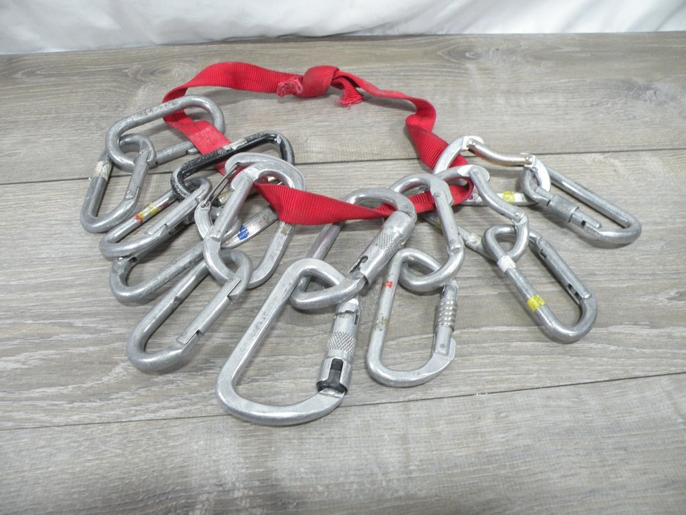 Lot of 16 Vintage Climbing Carabiners Mixed Black Diamond Kong D-Shape Screwgate