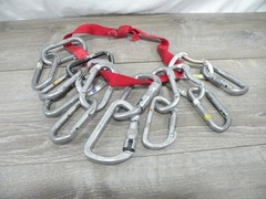 Lot of 16 Vintage Climbing Carabiners Mixed Black Diamond Kong D-Shape Screwgate