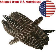 50pcs Full Length Fletching Archery Turkey Feather Flu-flu Right Left Wing DIY
