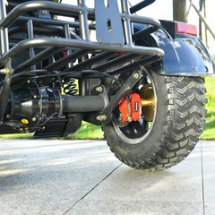 Off-road electric tricycle for adult outdoor use 3000W motor max speed 25-28MI