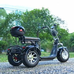 Off-road electric tricycle for adult outdoor use 3000W motor max speed 25-28MI