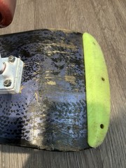 1980s Original Vintage Powell Peralta Bones Brigade Mike McGill – Not A Reissue
