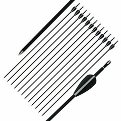 32in 12PCS Recurve Bow Mixed Carbon ArrowsHunting Practice Archery Target Arrow