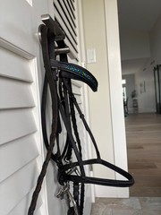 Padded Black Bling BrowBand English Dressage Flash Horse Bridle W/Kimberwick Bit