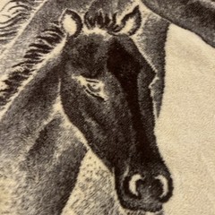 Rasilan Horse Blanket. Thick And Soft Made In Spain
